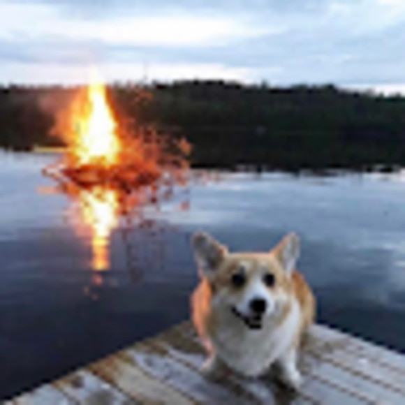 Meet your Posher, Liam - Picture 1 of 1